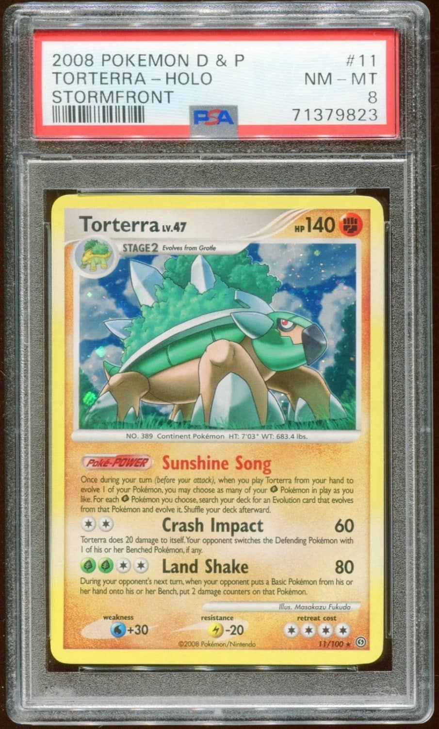 Torterra