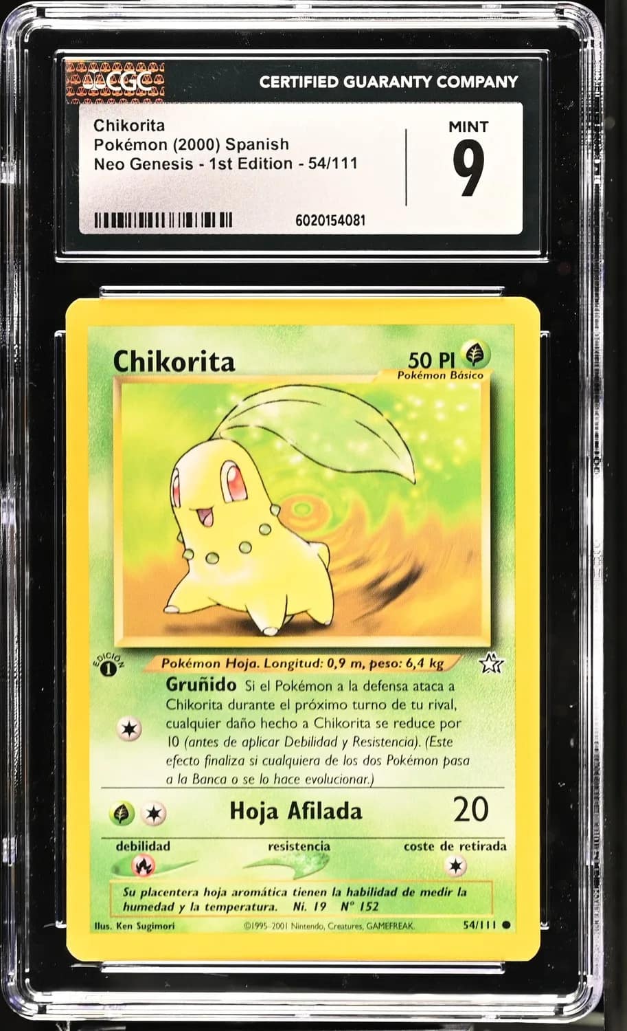 Chikorita