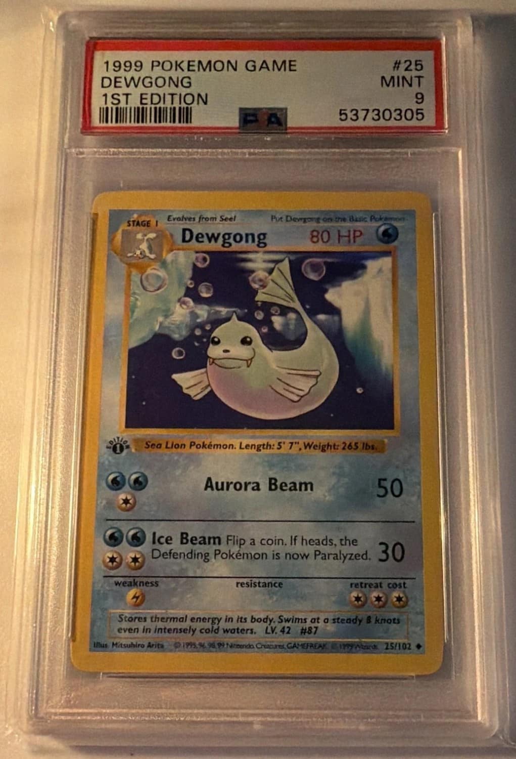 Dewgong