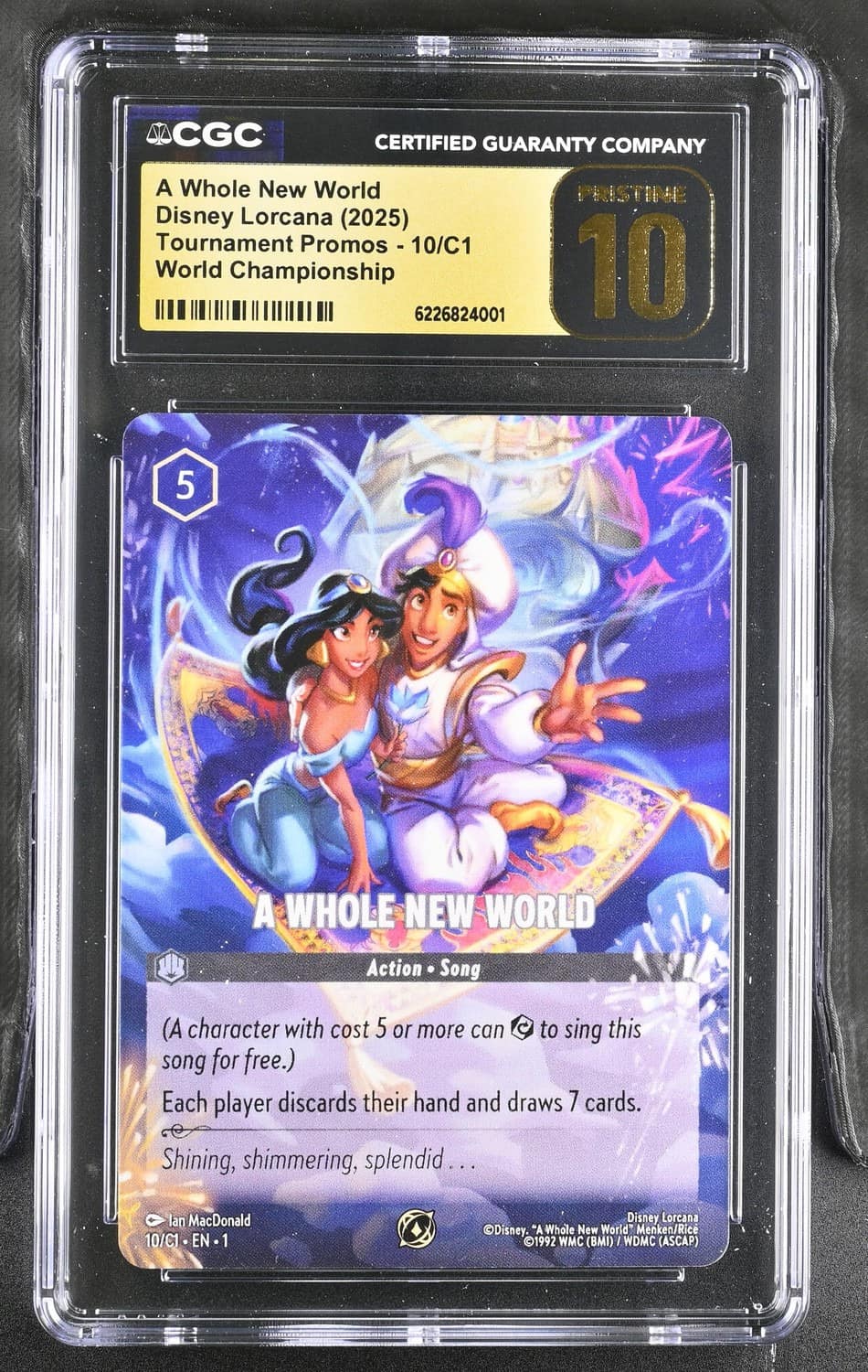 A Whole New World