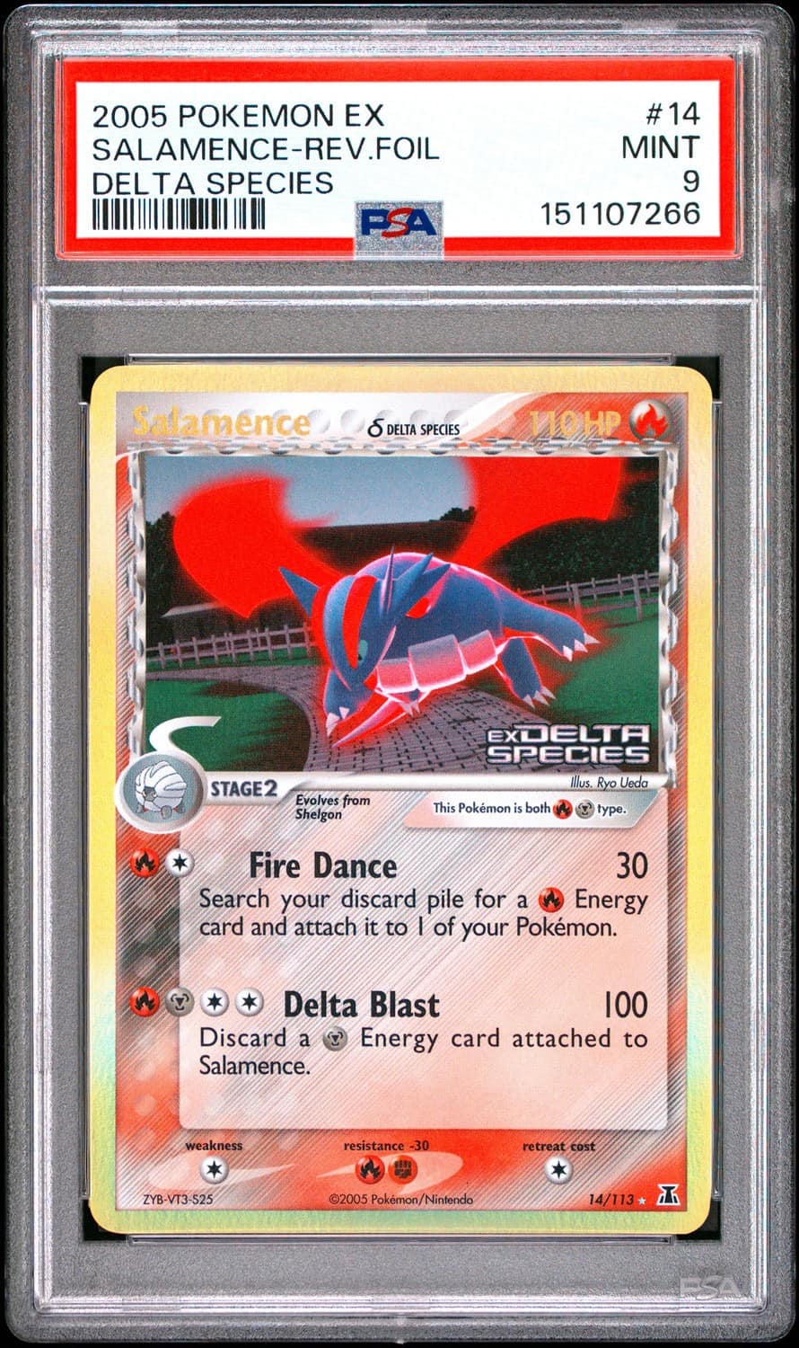 Salamence