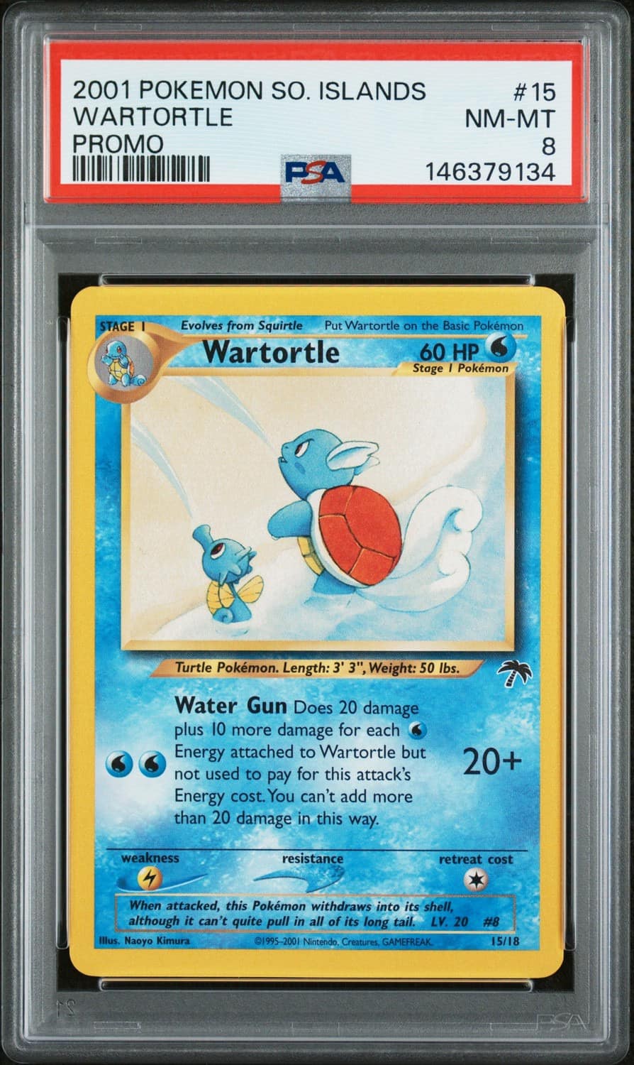Wartortle