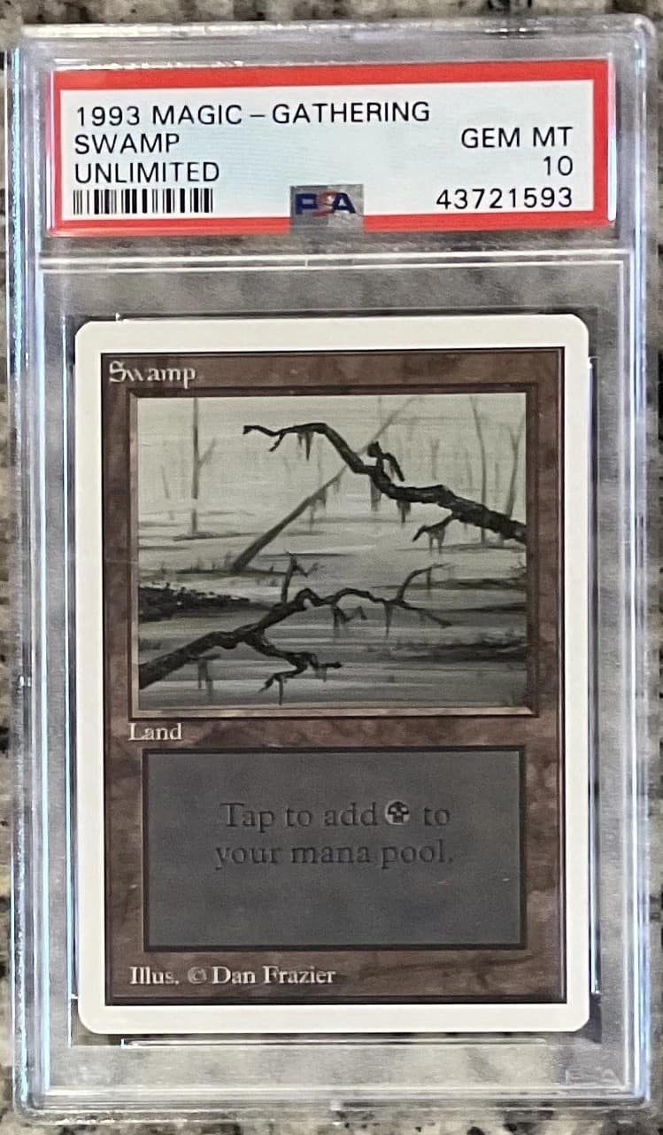 Swamp