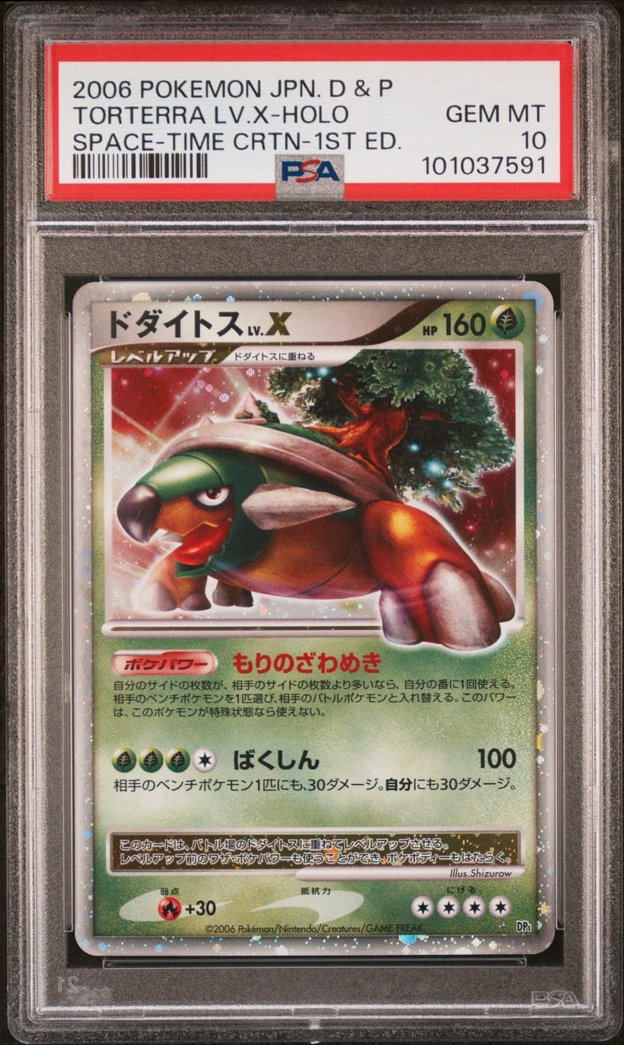 Torterra Lv X