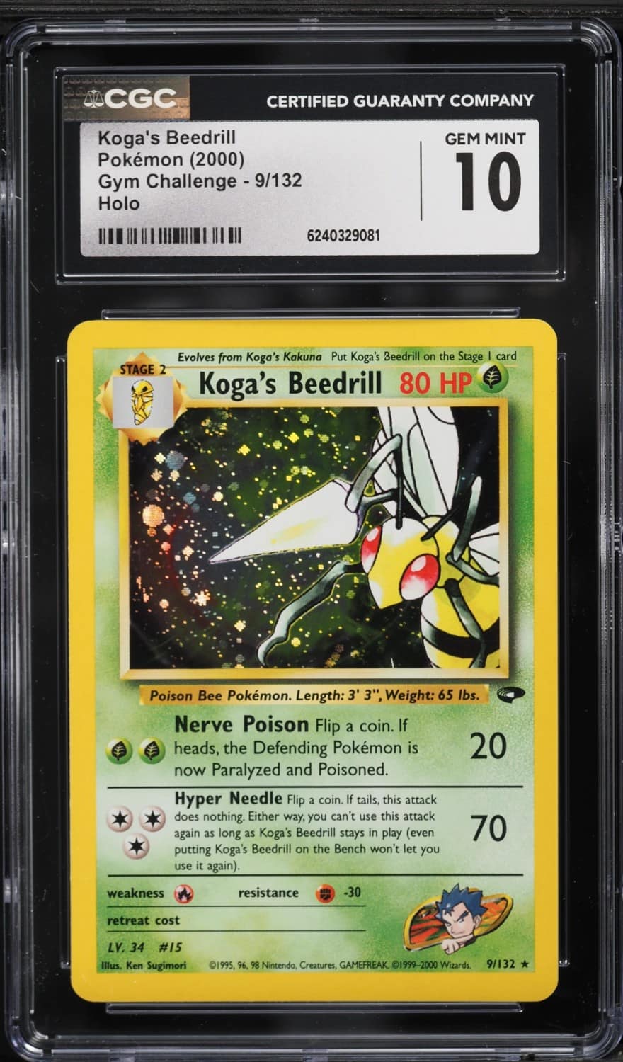 Koga'S Beedrill