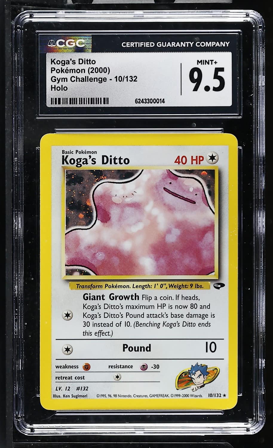 Koga'S Ditto