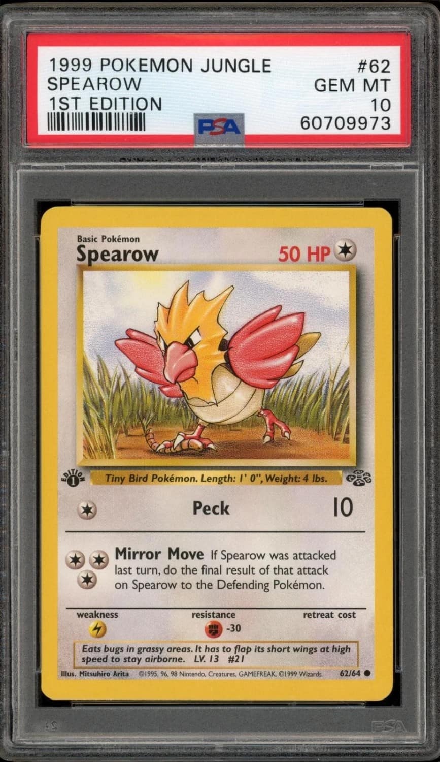 Spearow