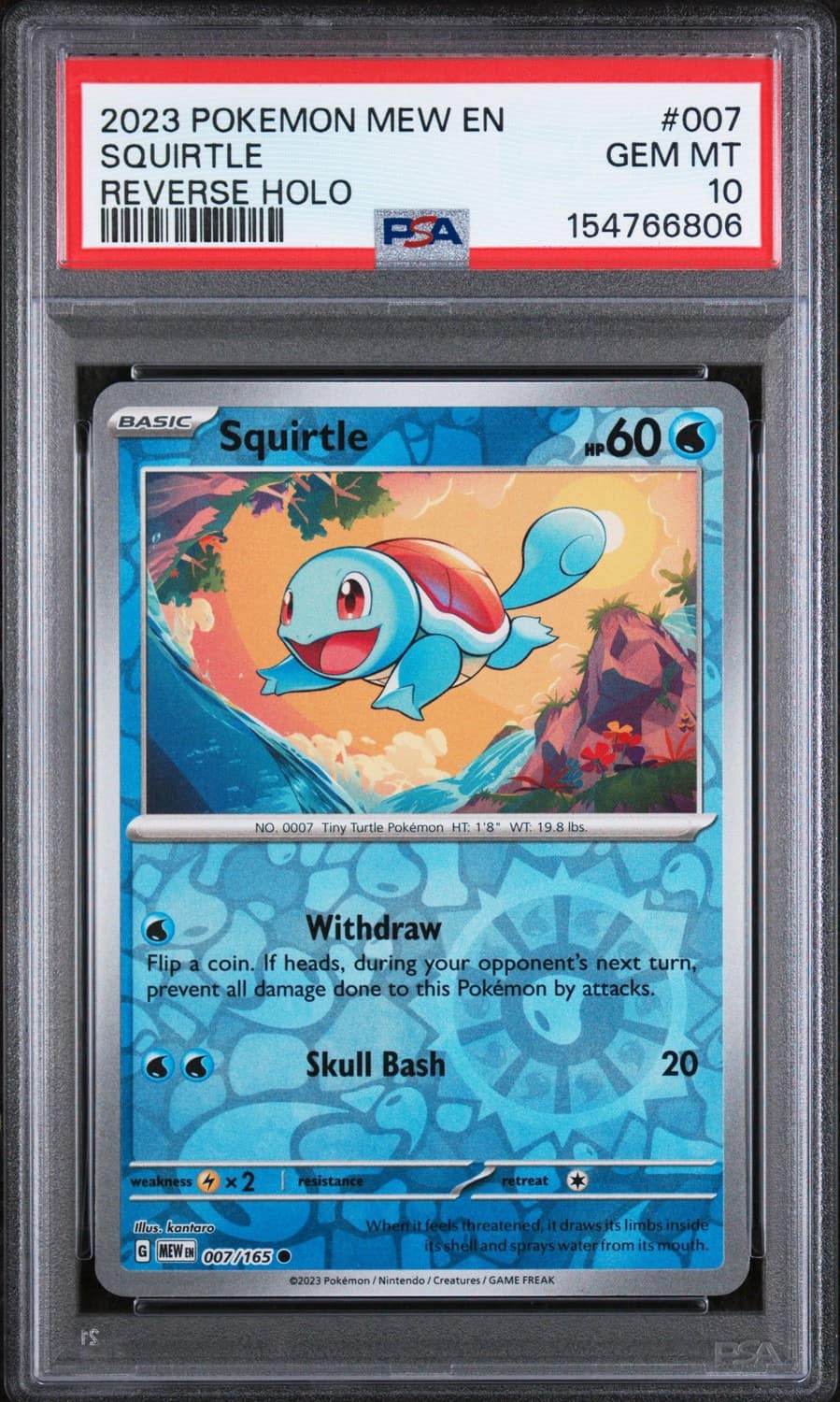 Squirtle