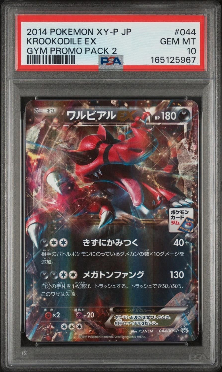 Krookodile Ex