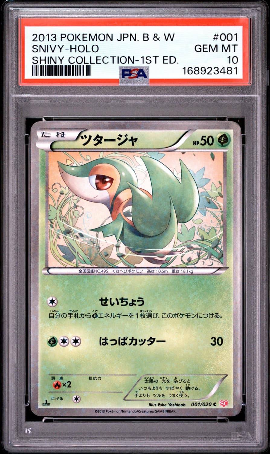 Snivy