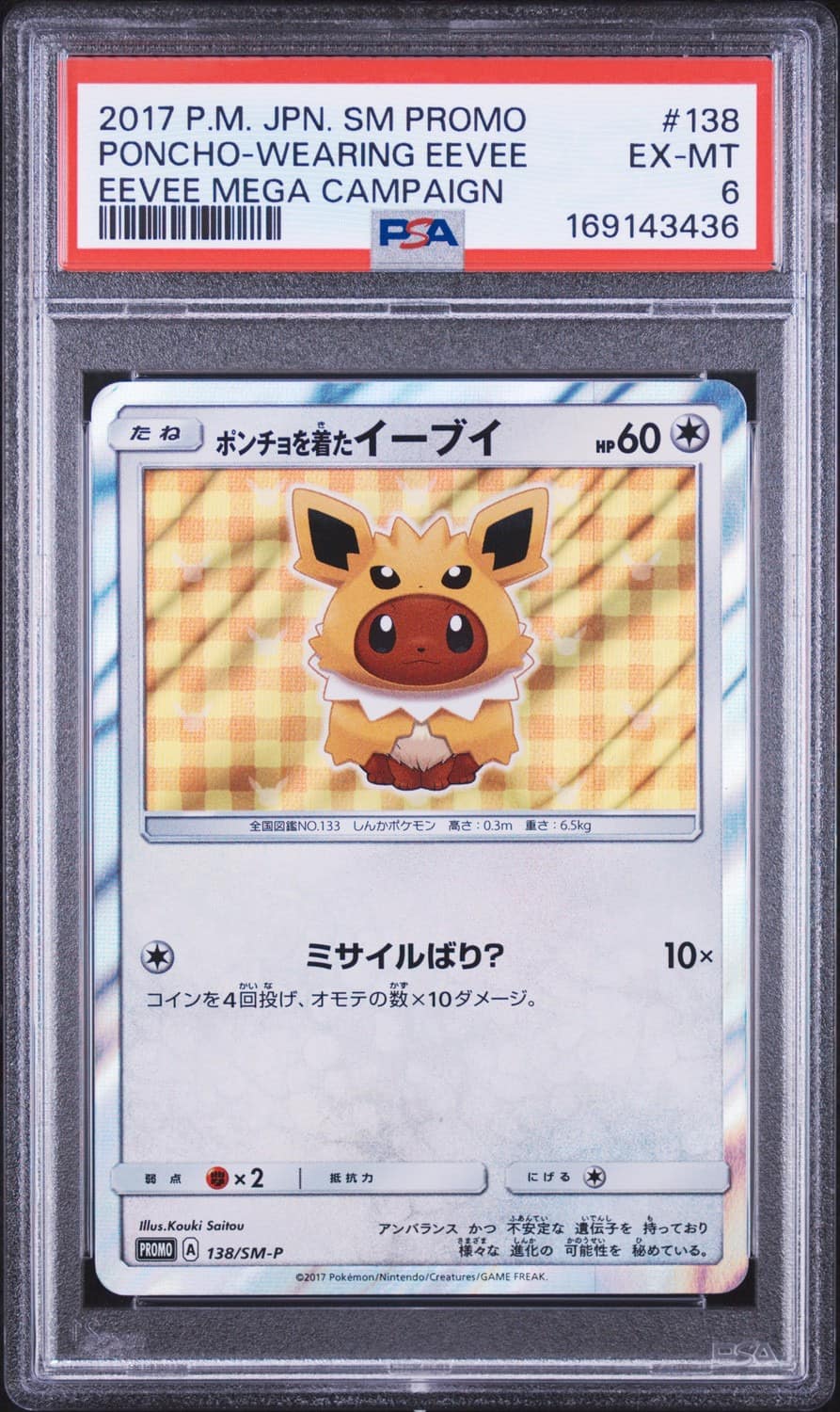 Poncho-Wearing Eevee