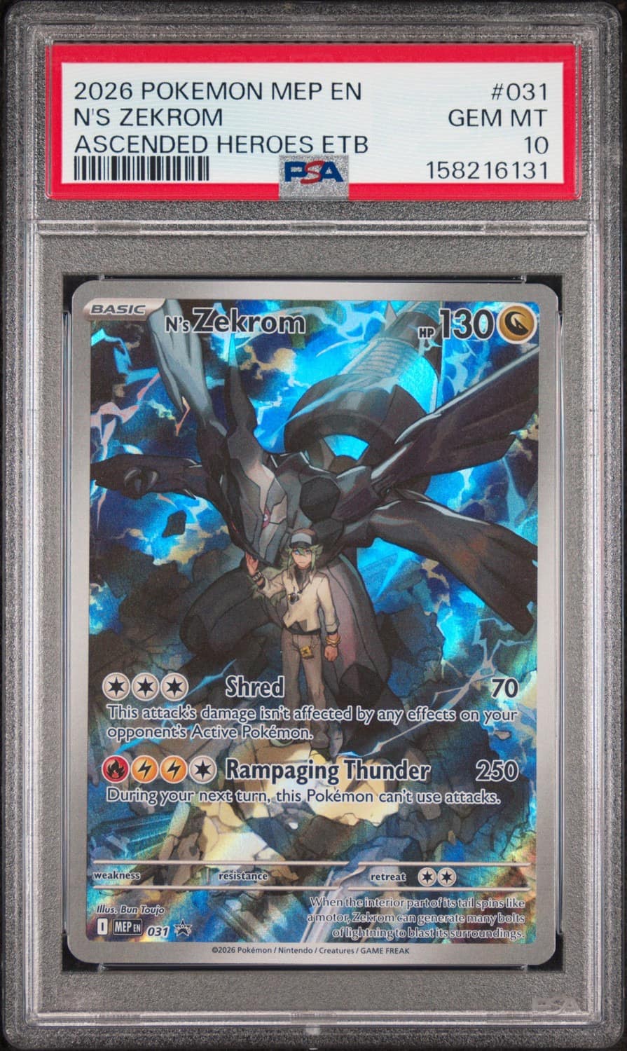 N'S Zekrom
