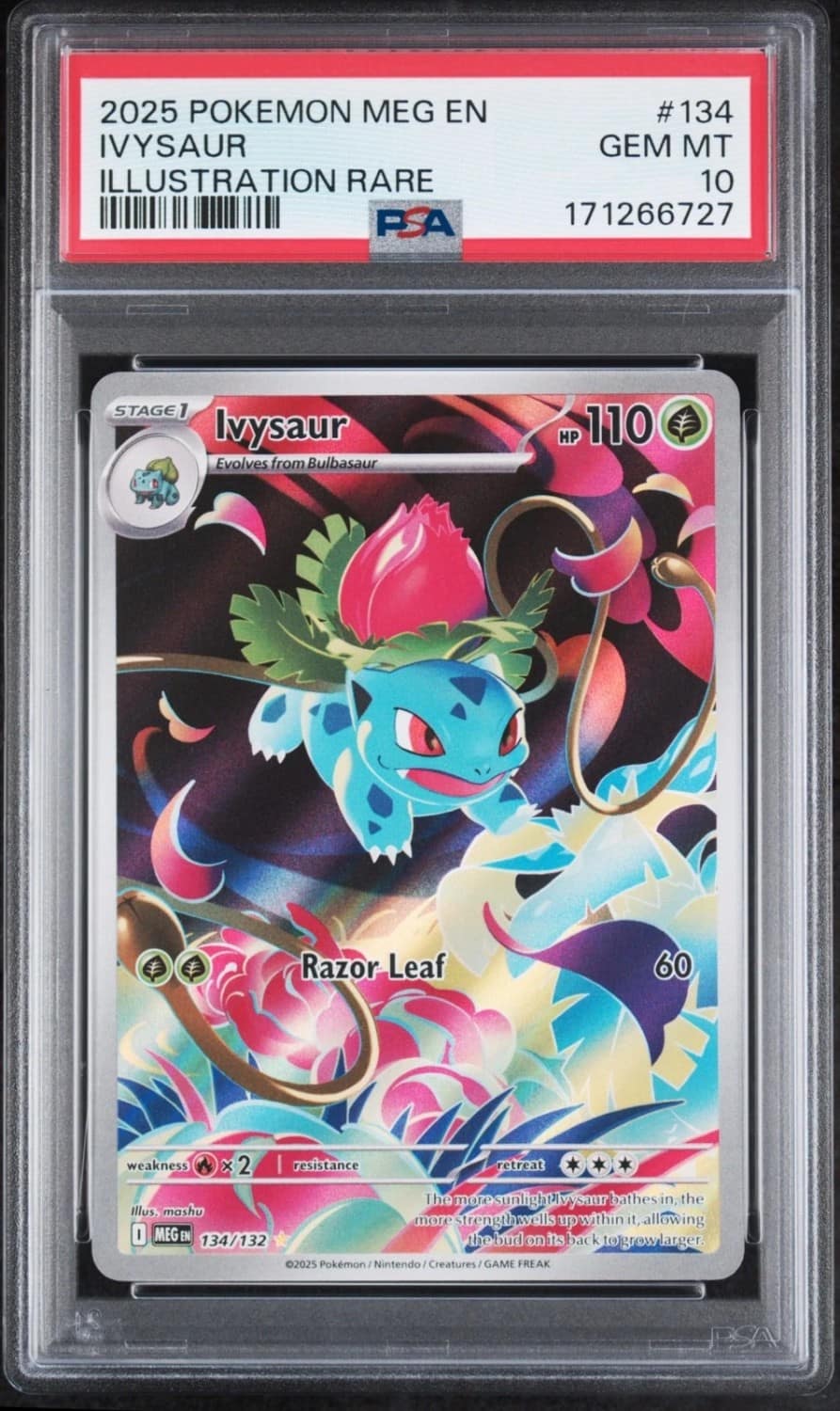 Ivysaur