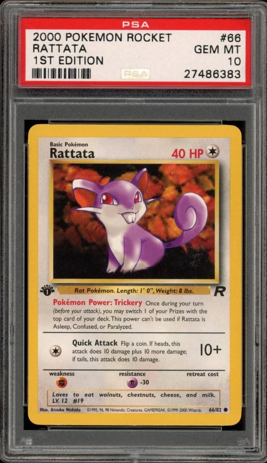Rattata