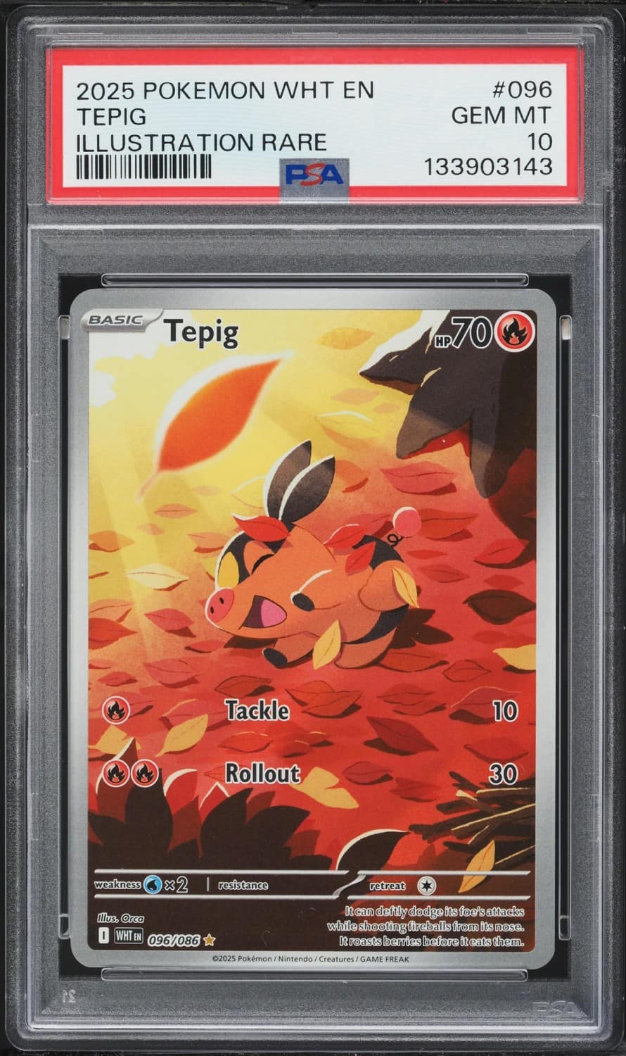 Tepig