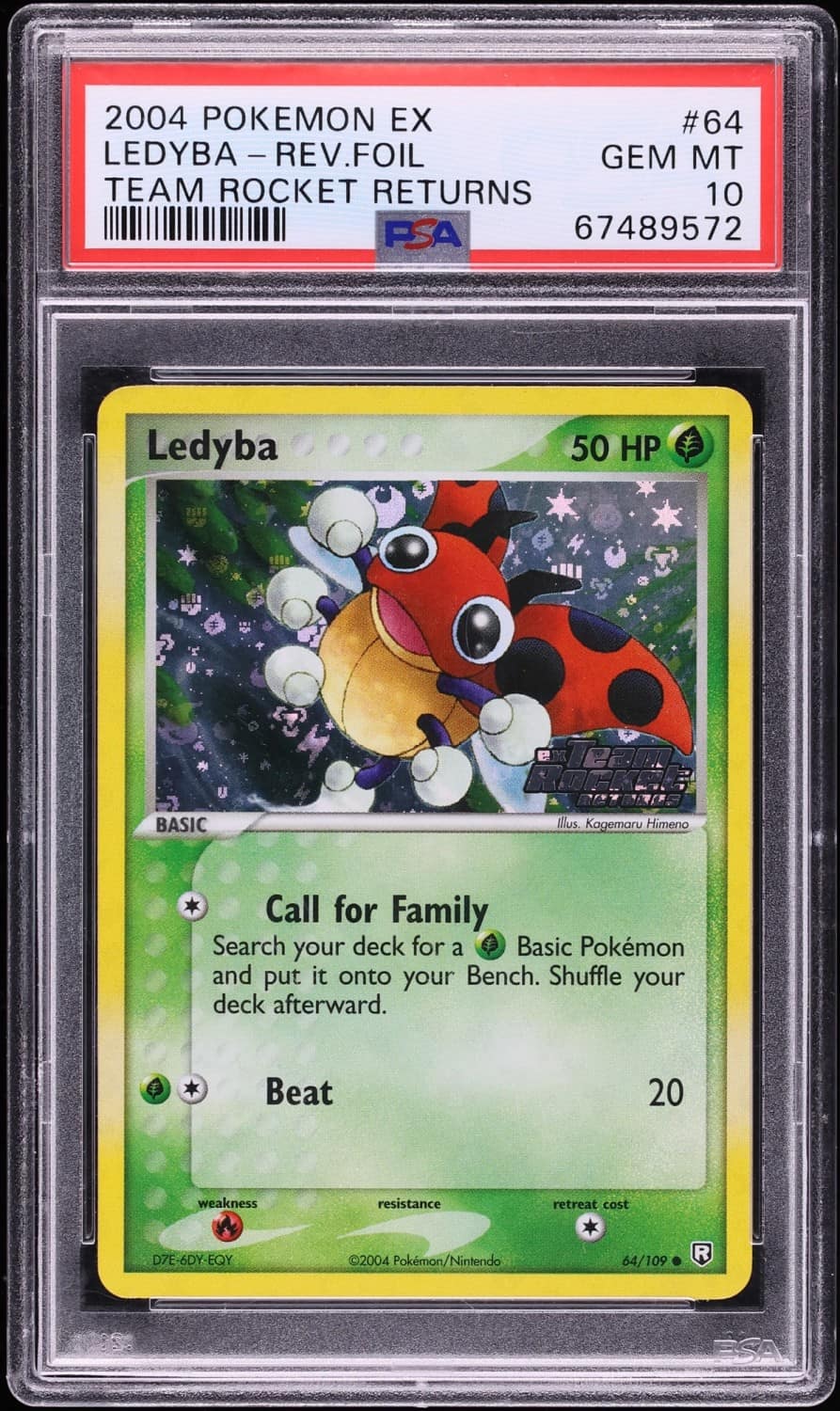 Ledyba
