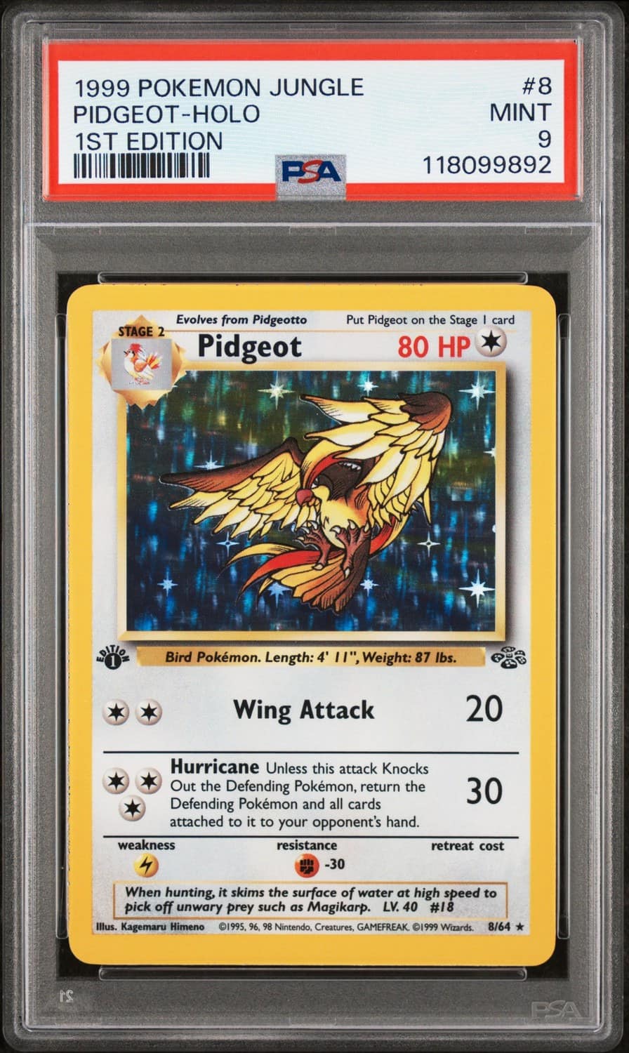Pidgeot