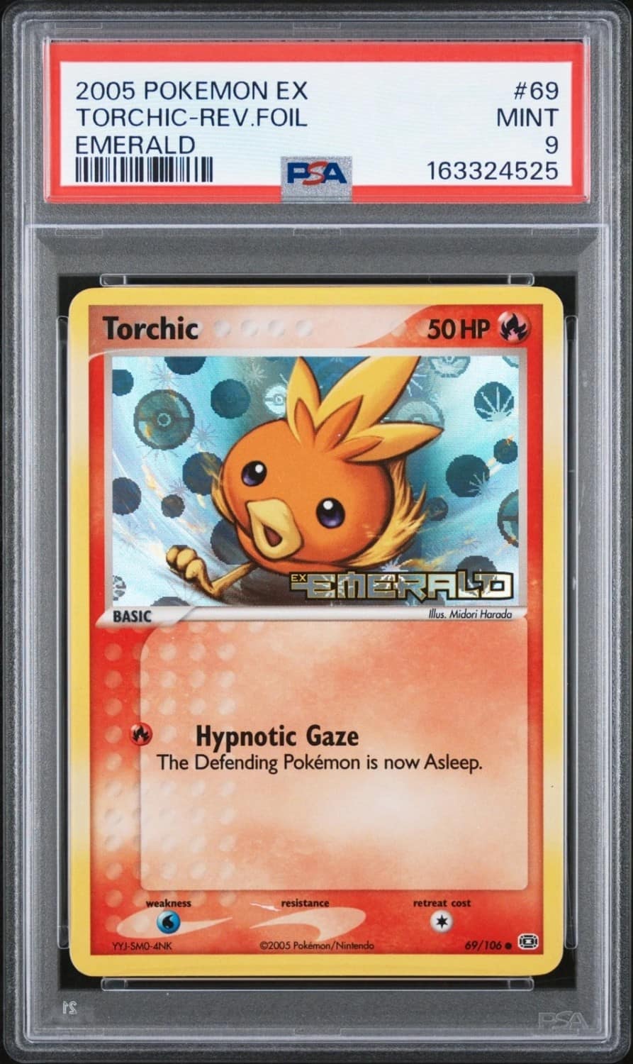 Torchic