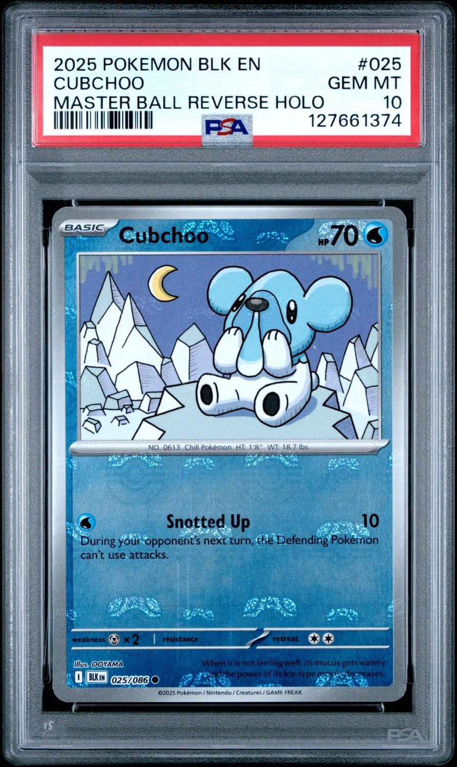 Cubchoo