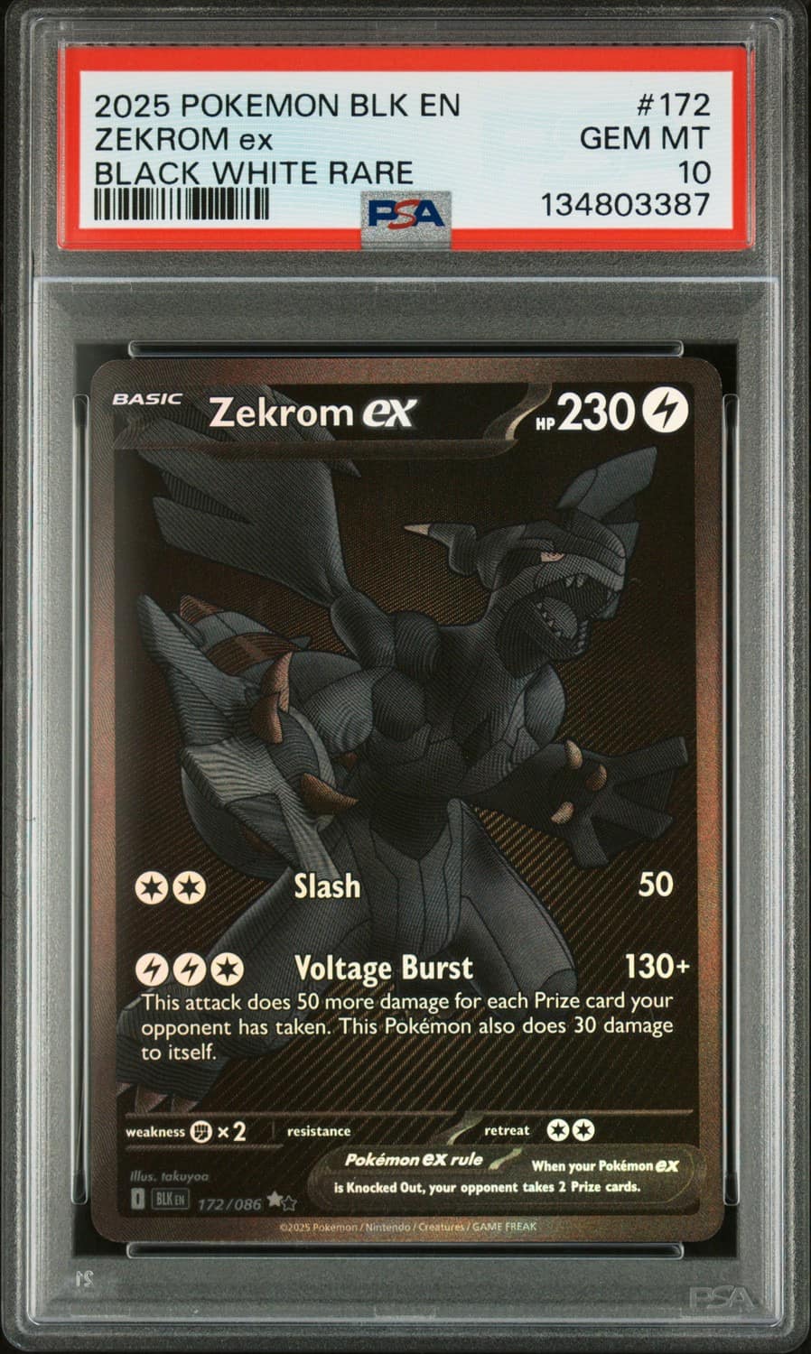 Zekrom Ex