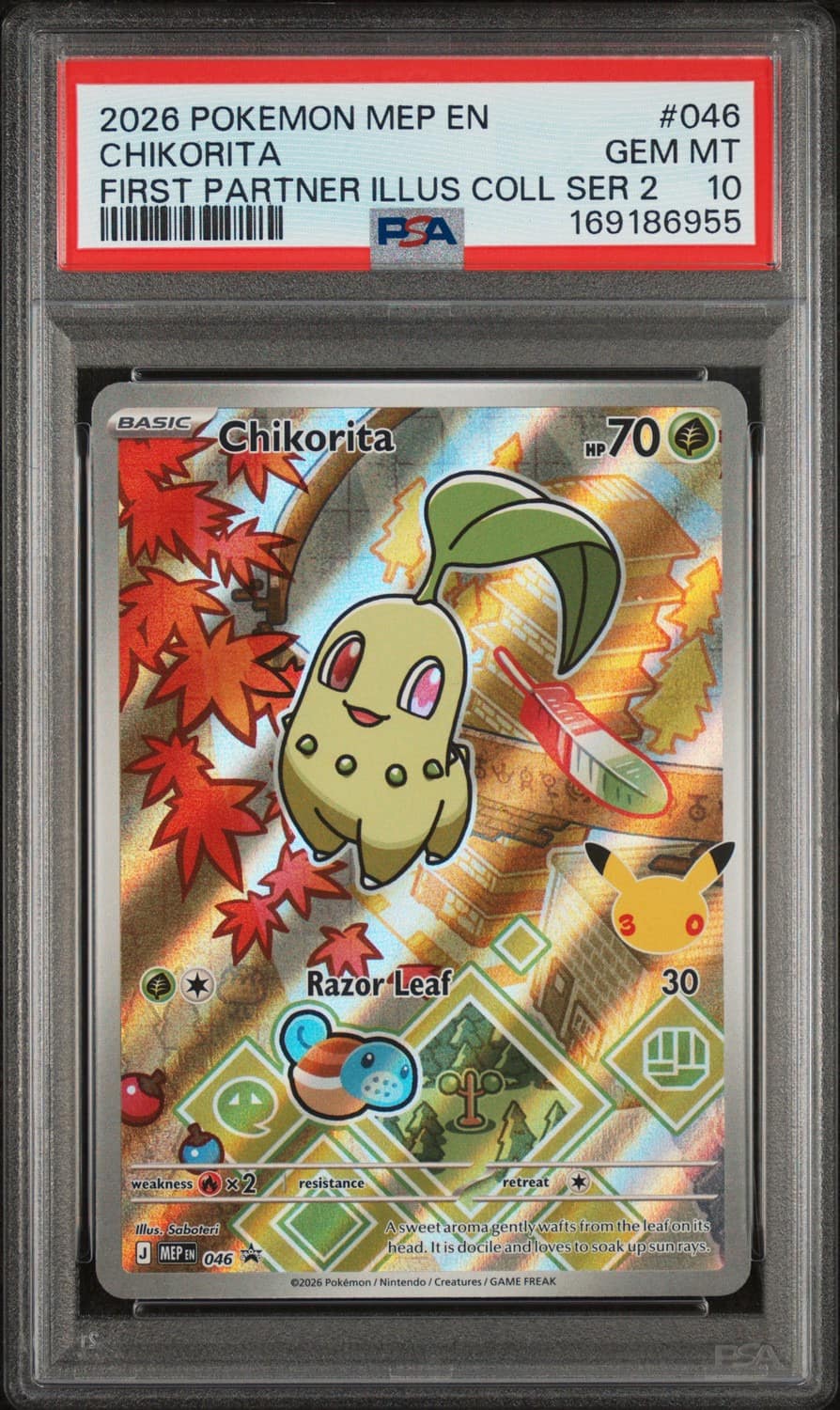 Chikorita