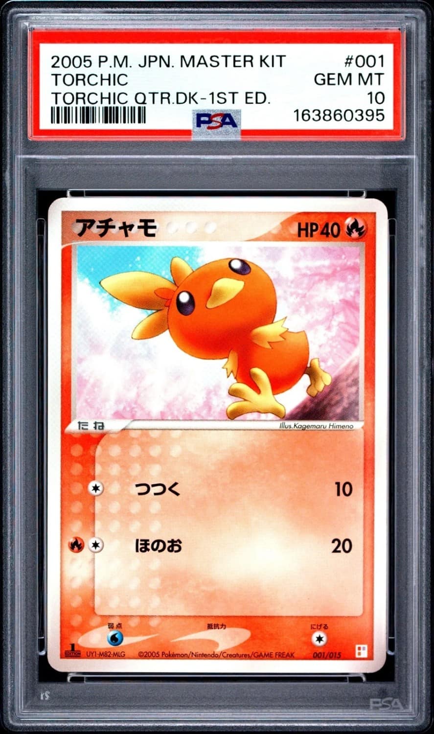Torchic