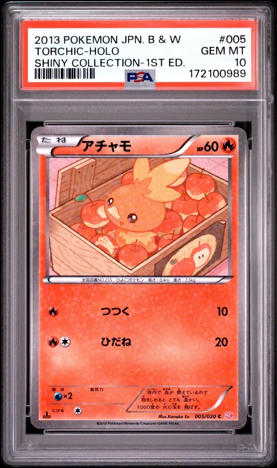 Torchic
