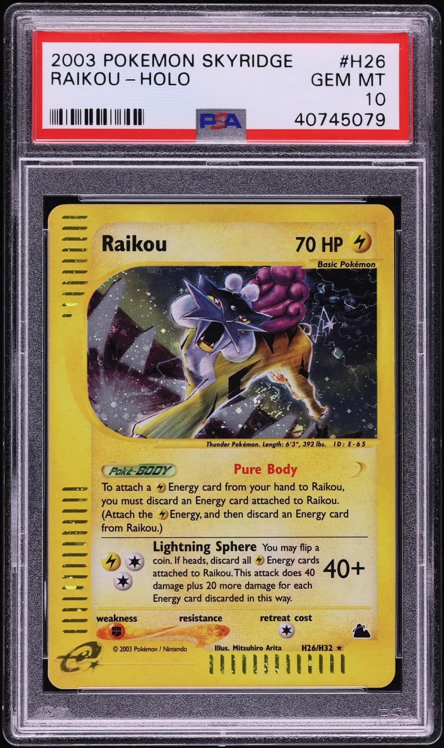 Raikou