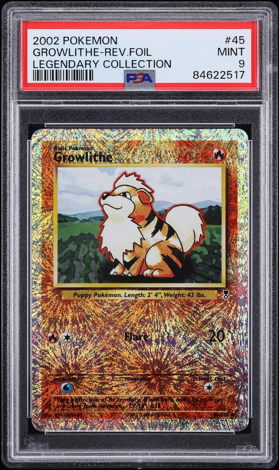 Growlithe