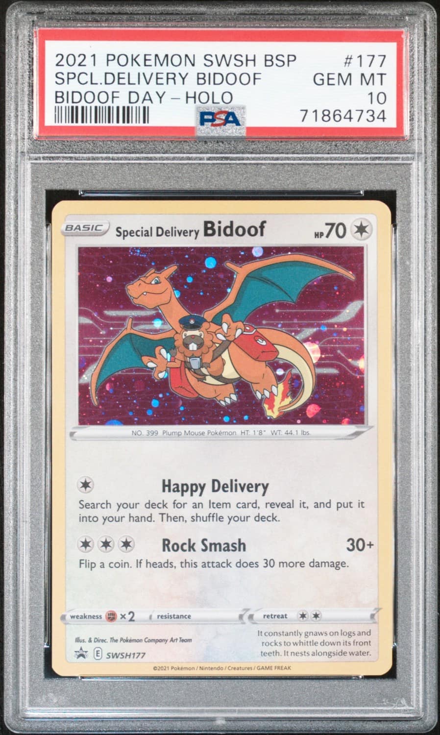 Special Delivery Bidoof