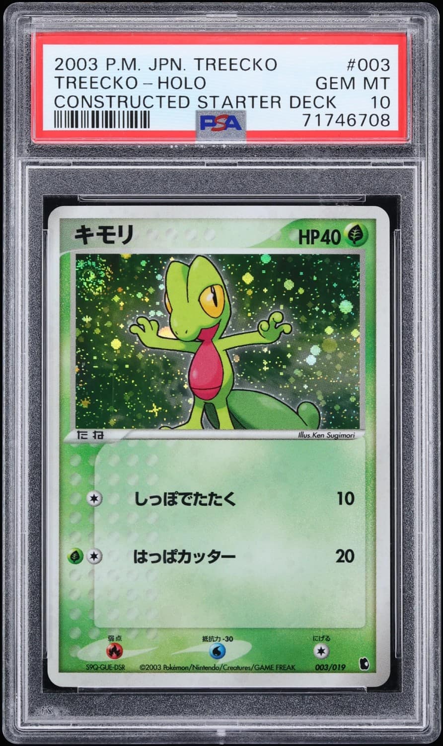 Treecko
