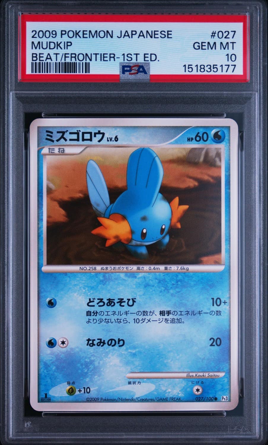 Mudkip