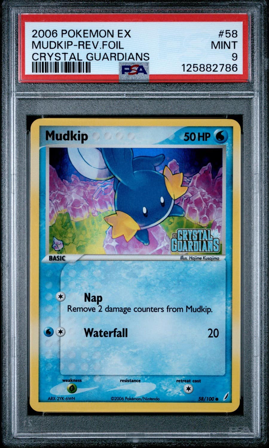 Mudkip