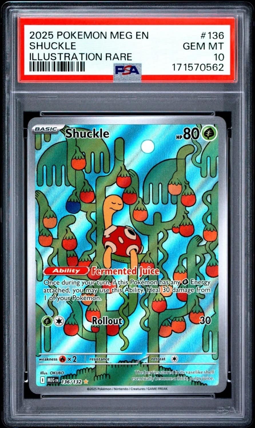 Shuckle