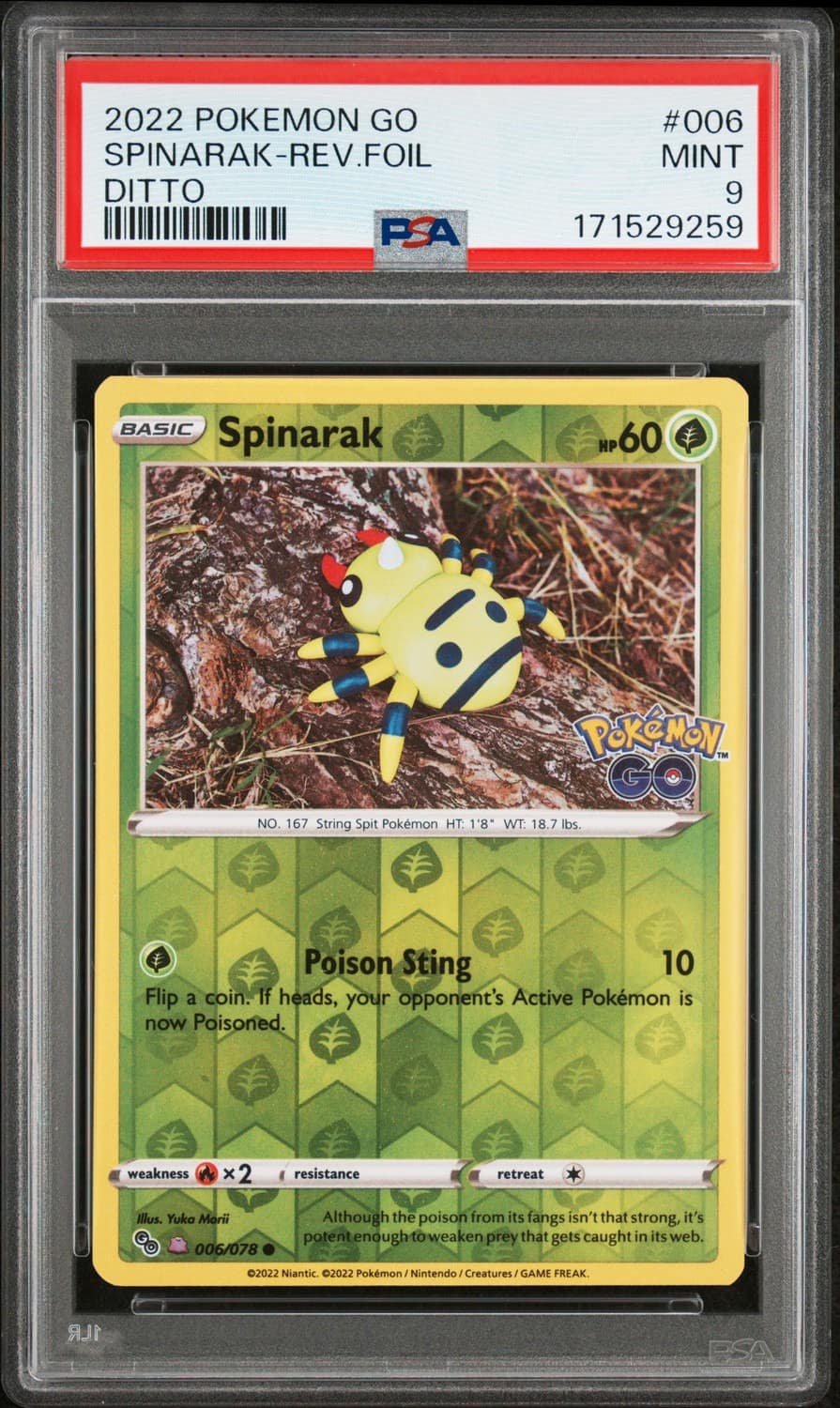 Spinarak