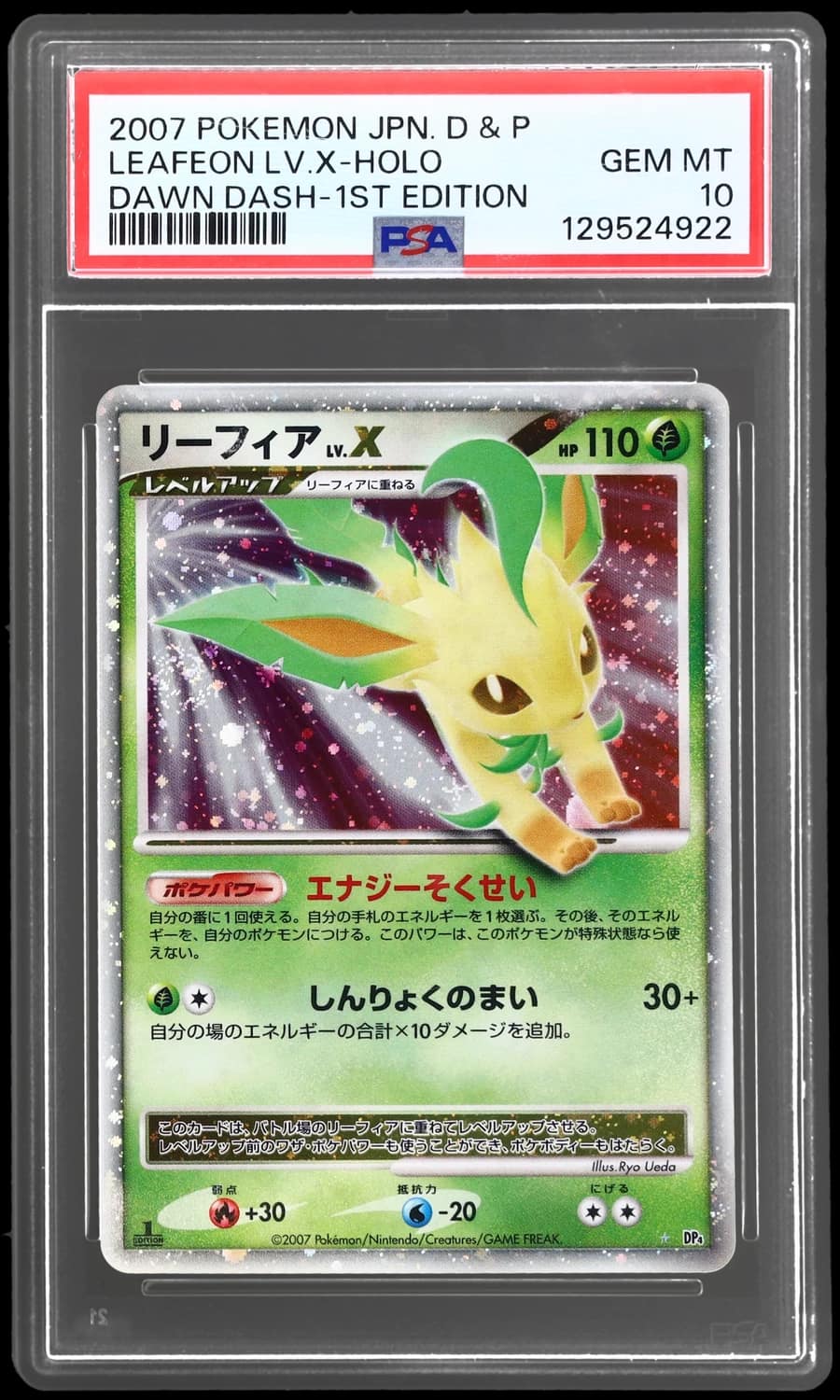 Leafeon Lv X