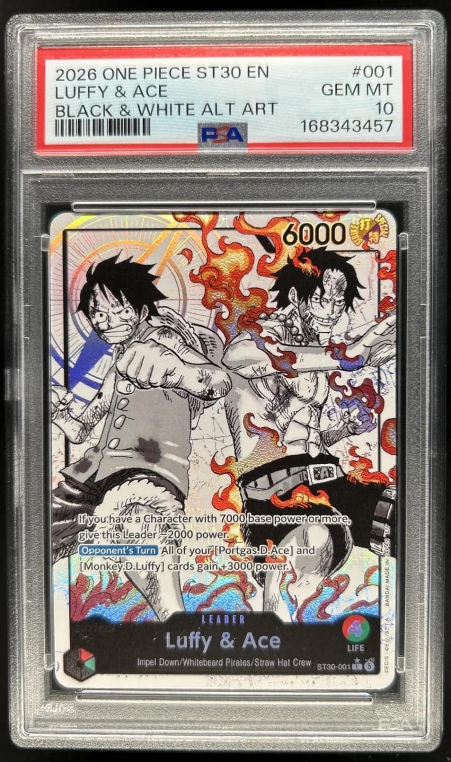 Luffy & Ace
