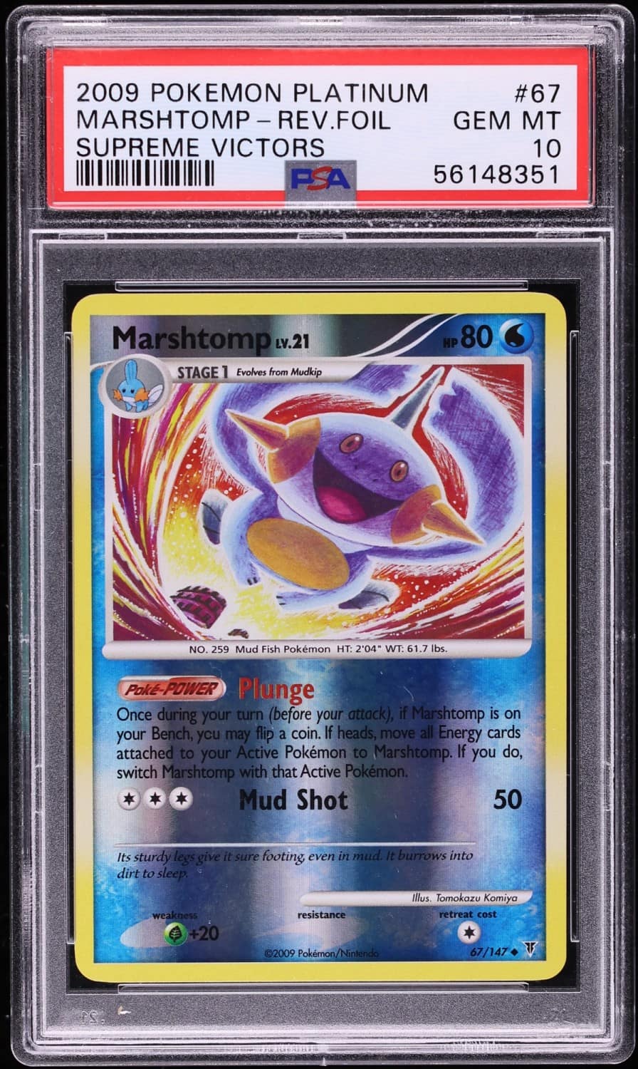 Marshtomp