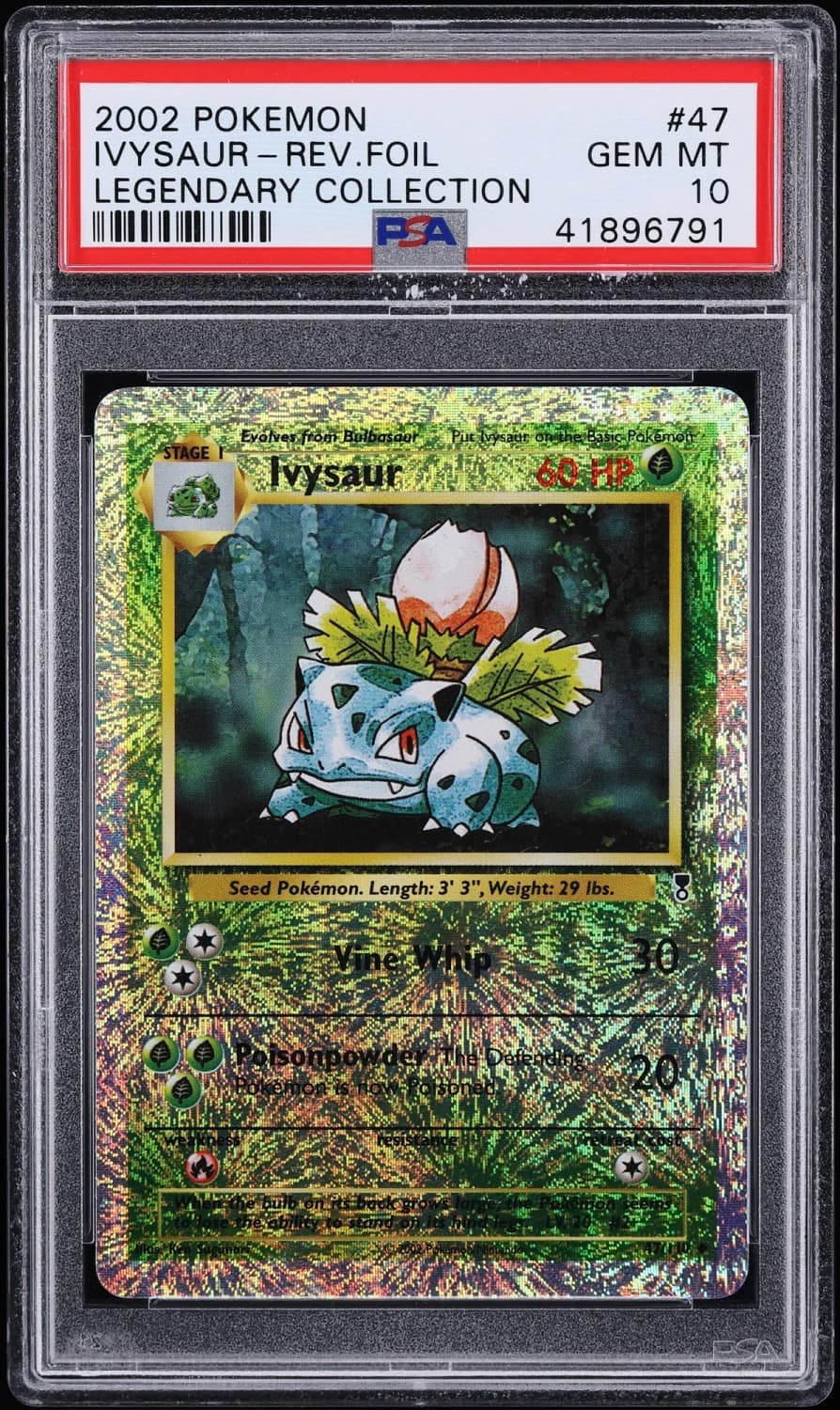 Ivysaur