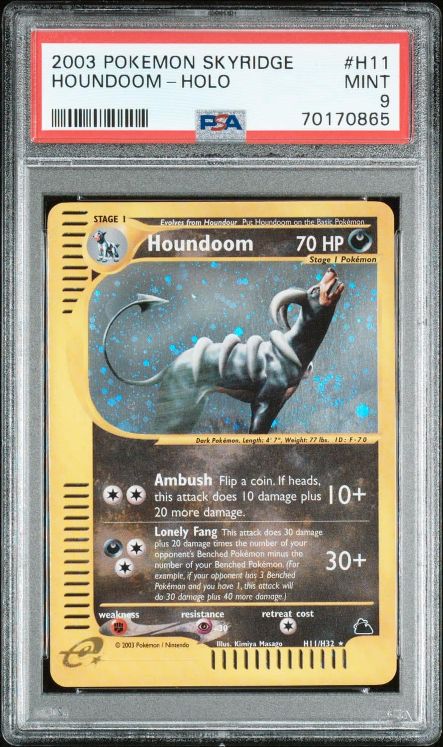 Houndoom