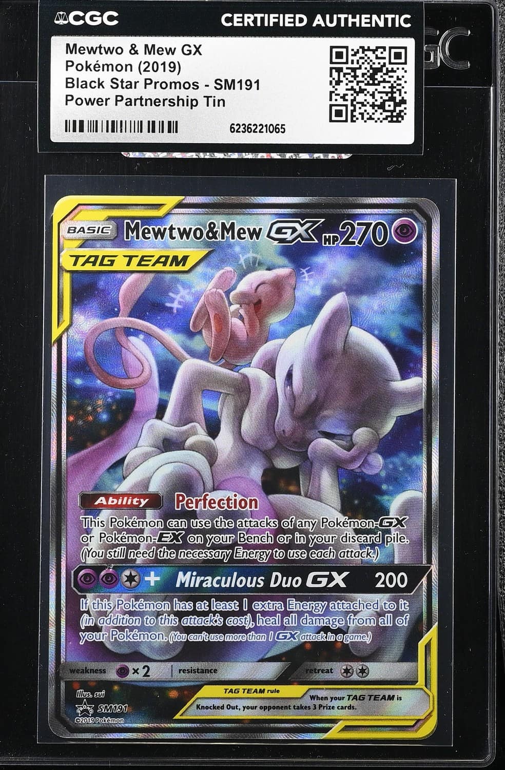 Mewtwo & Mew Gx