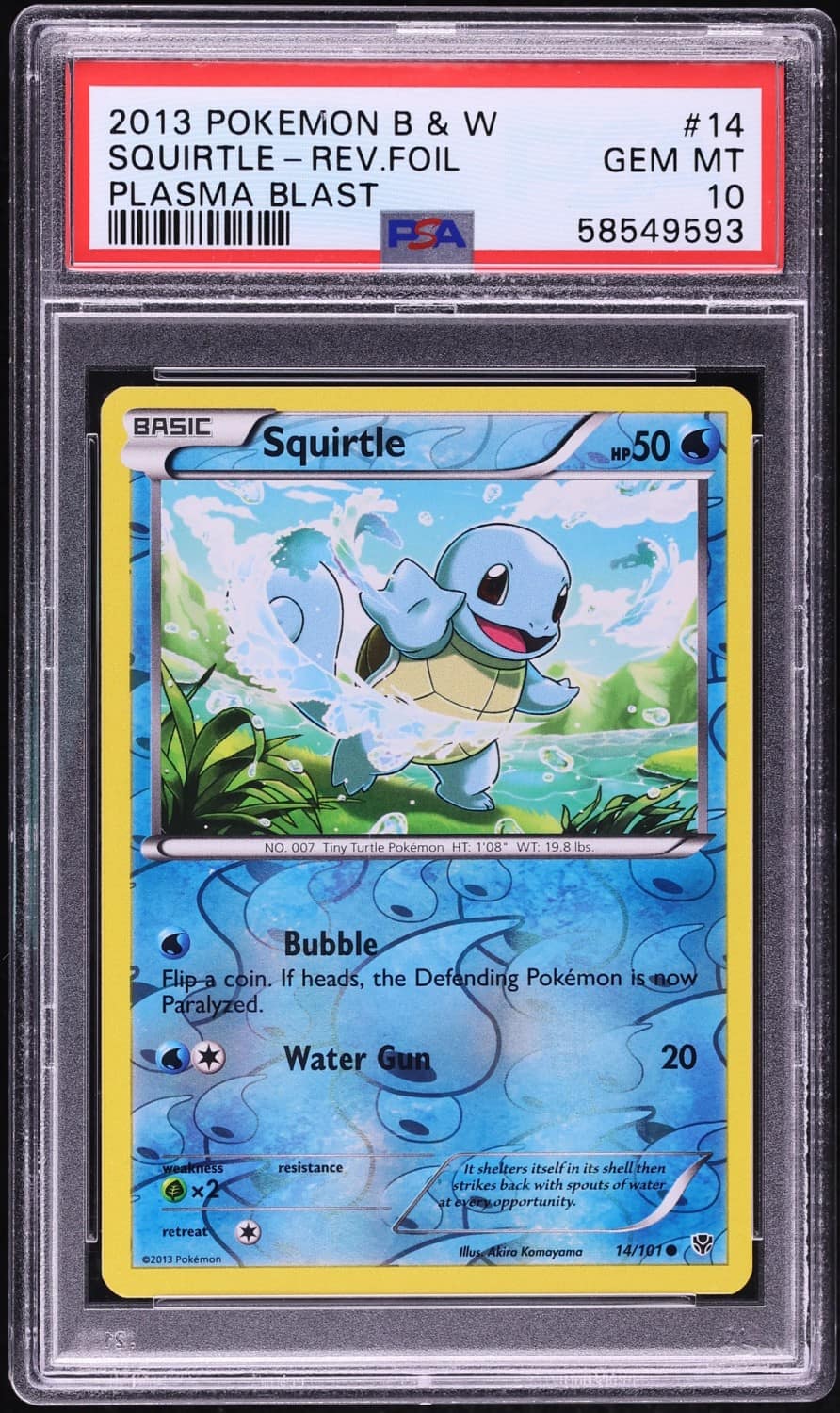 Squirtle