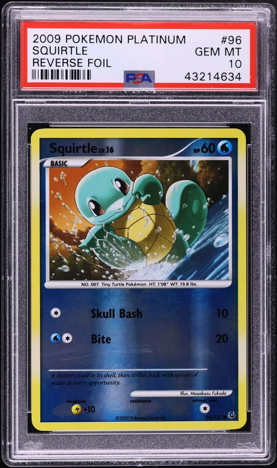 Squirtle