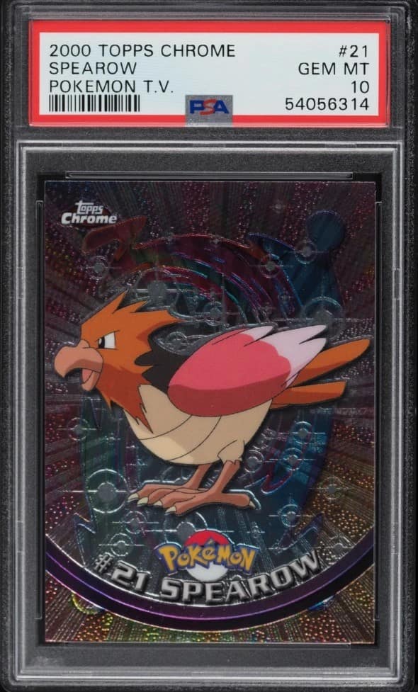 Spearow