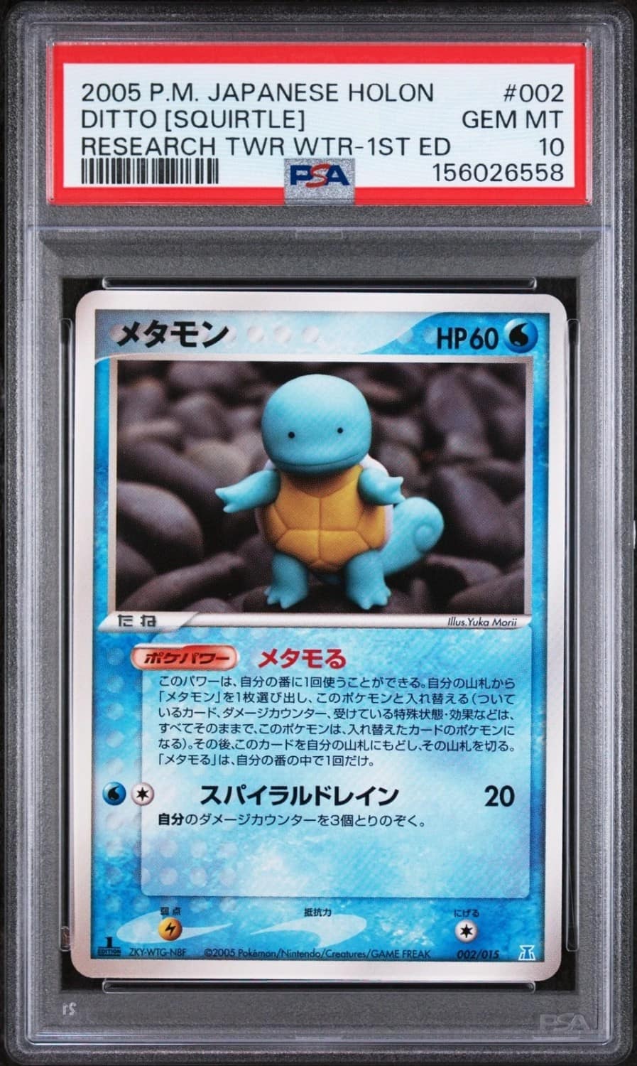 Ditto [squirtle]