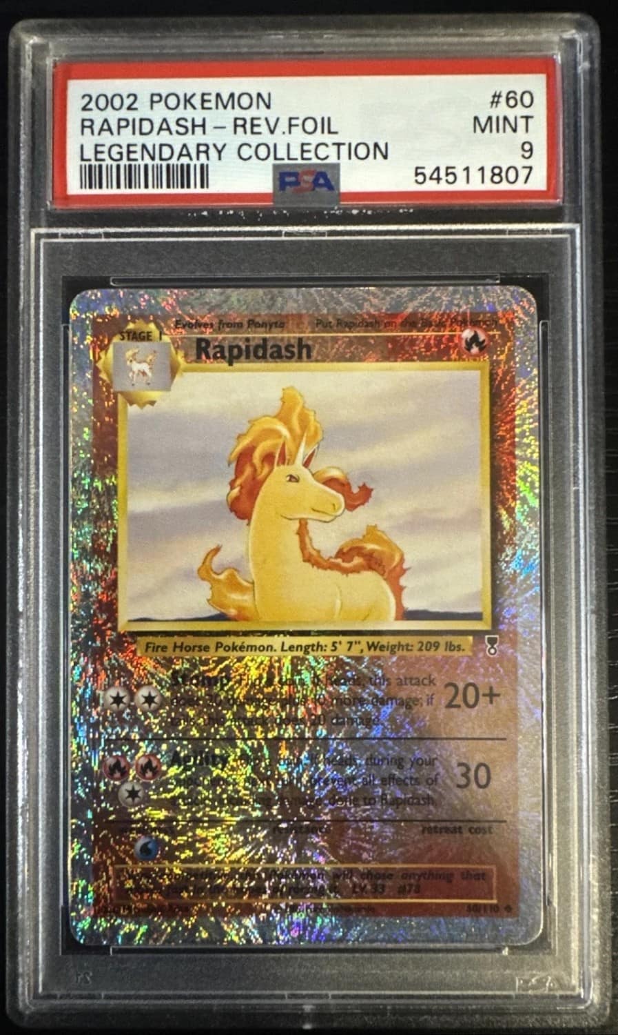 Rapidash