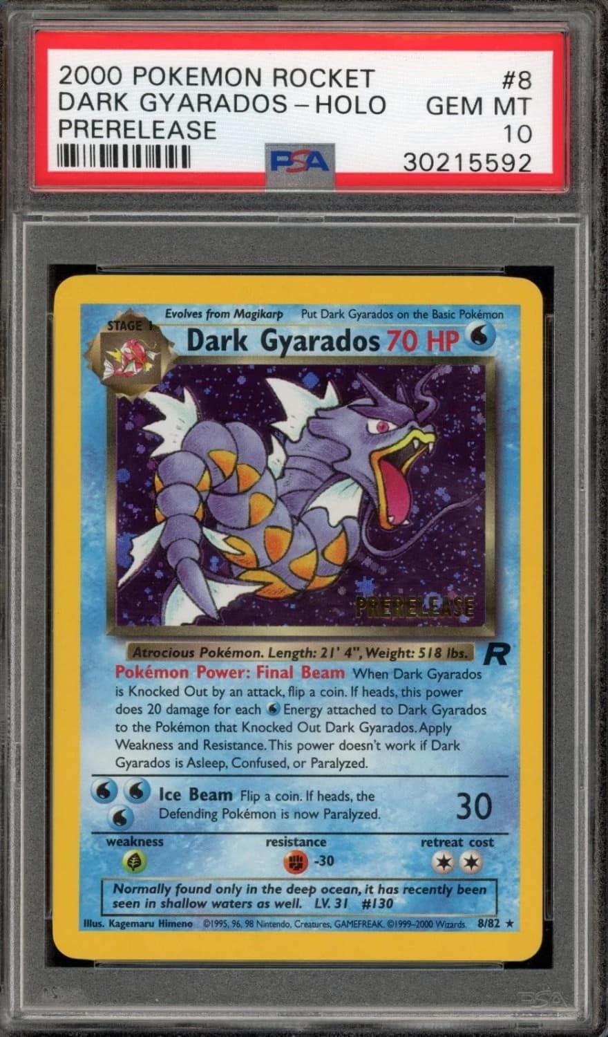 Dark Gyarados
