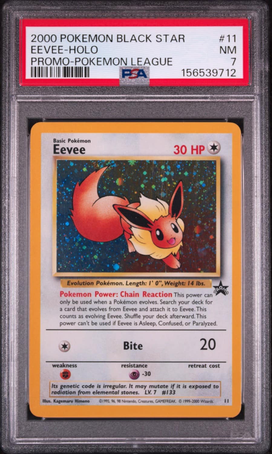 Eevee