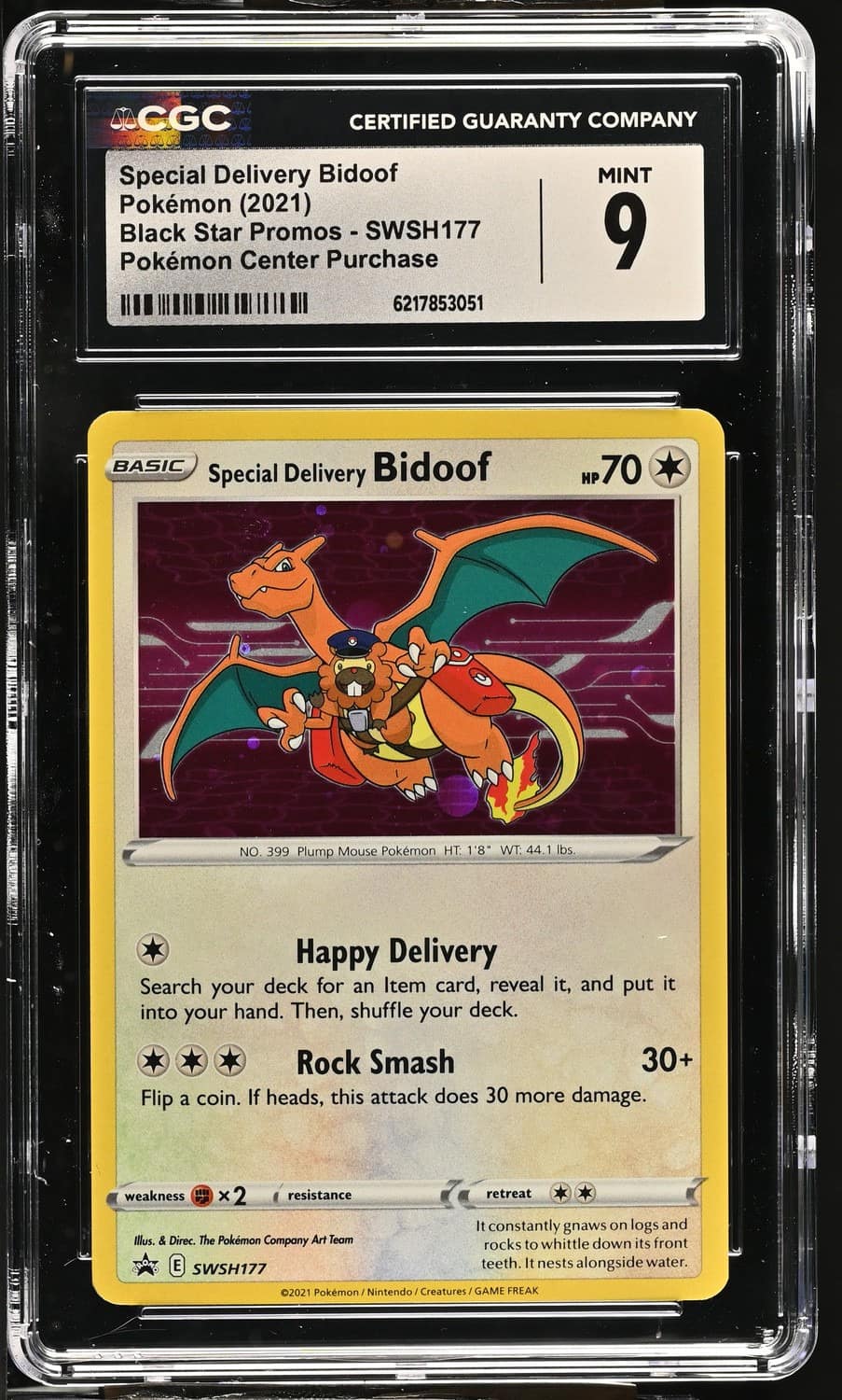 Special Delivery Bidoof