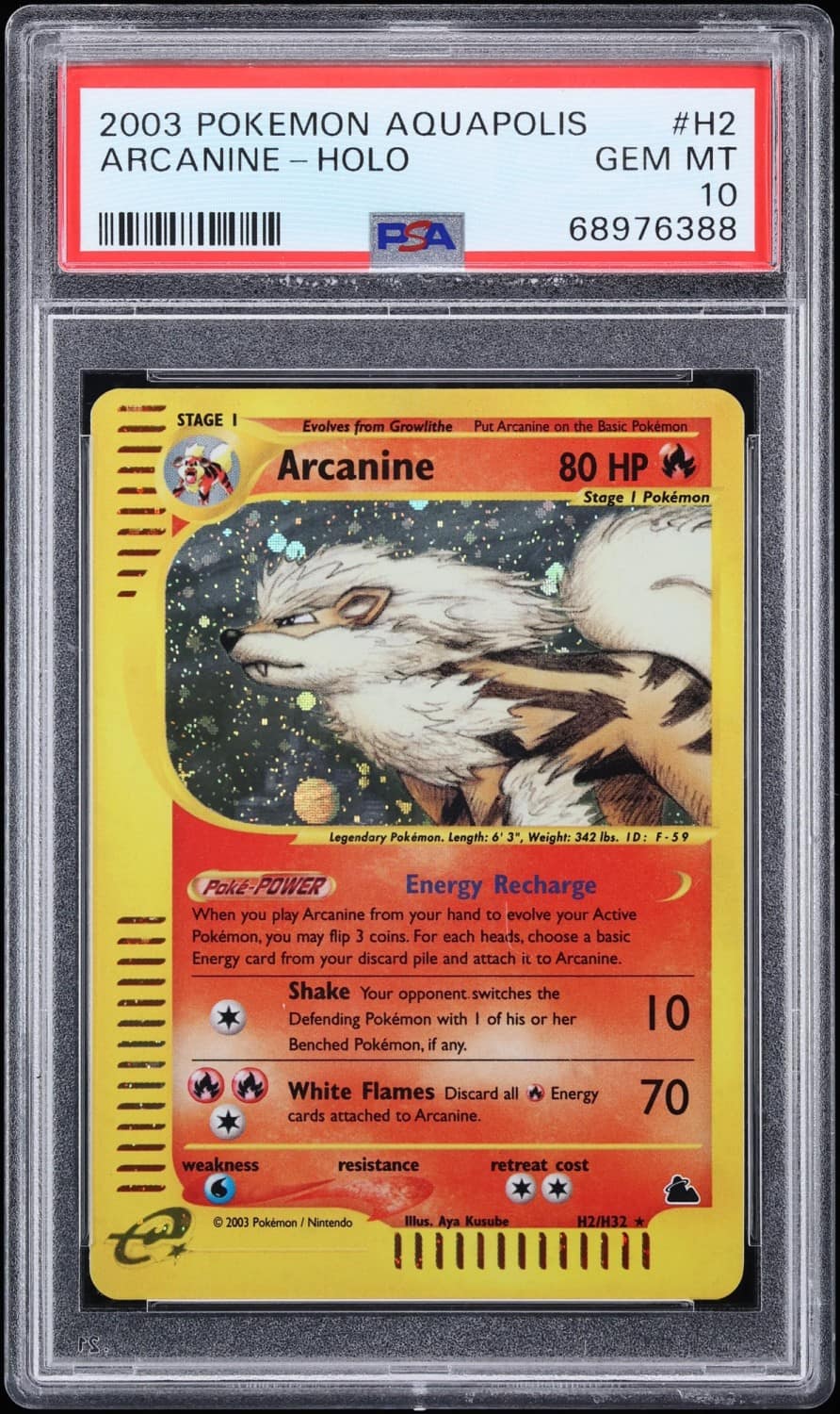 Arcanine